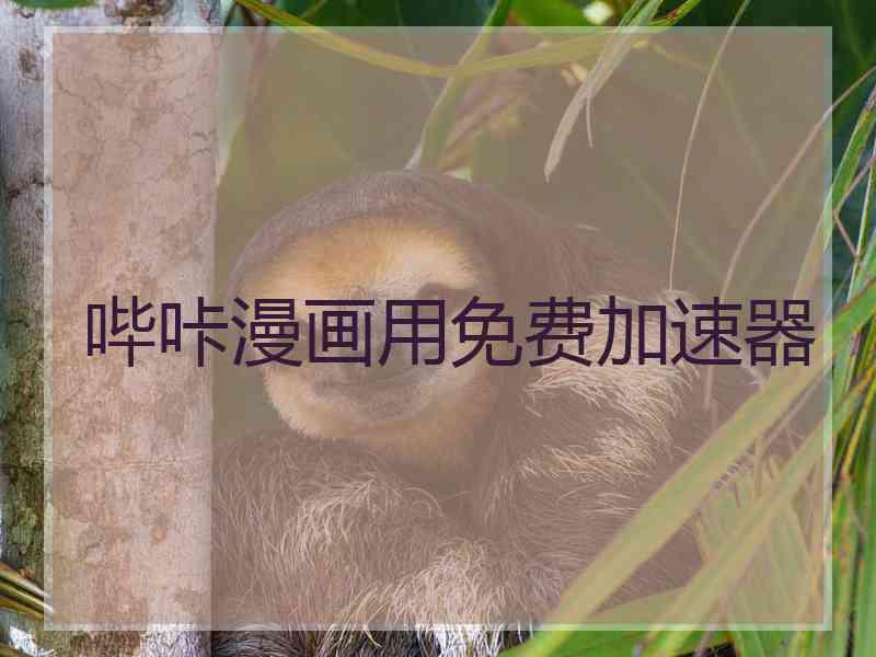 哔咔漫画用免费加速器