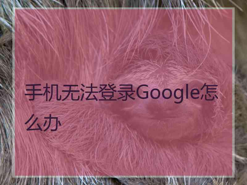 手机无法登录Google怎么办