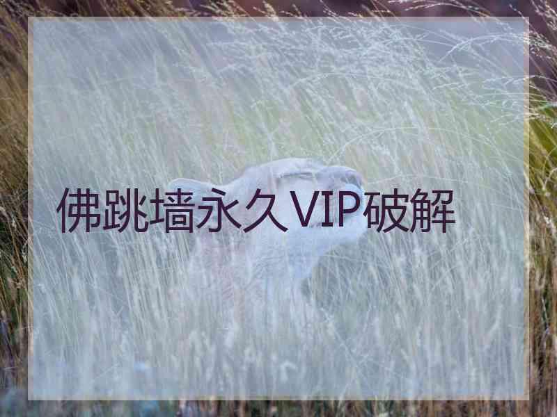 佛跳墙永久VIP破解
