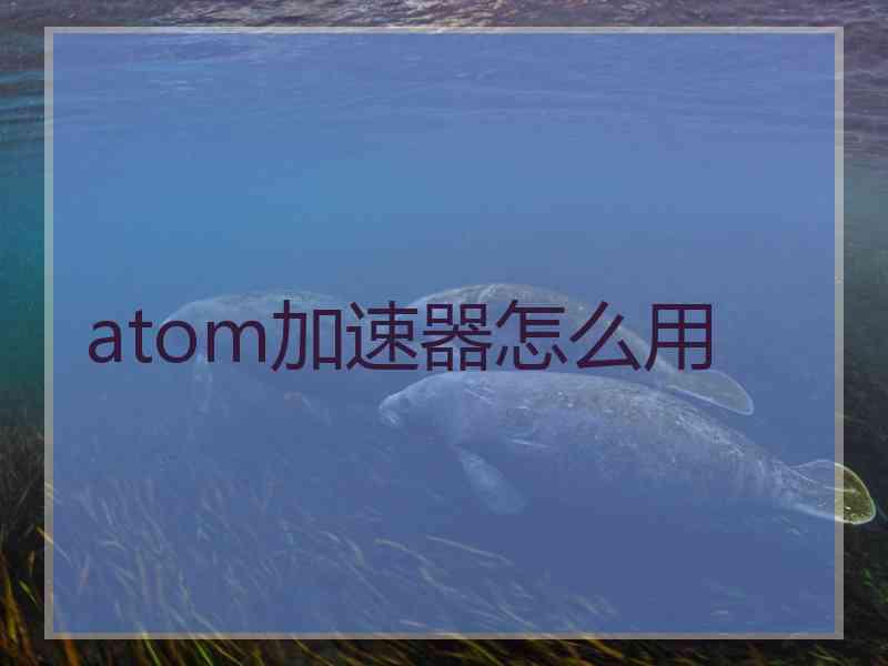 atom加速器怎么用