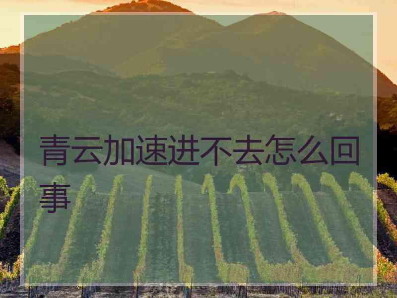 青云加速进不去怎么回事