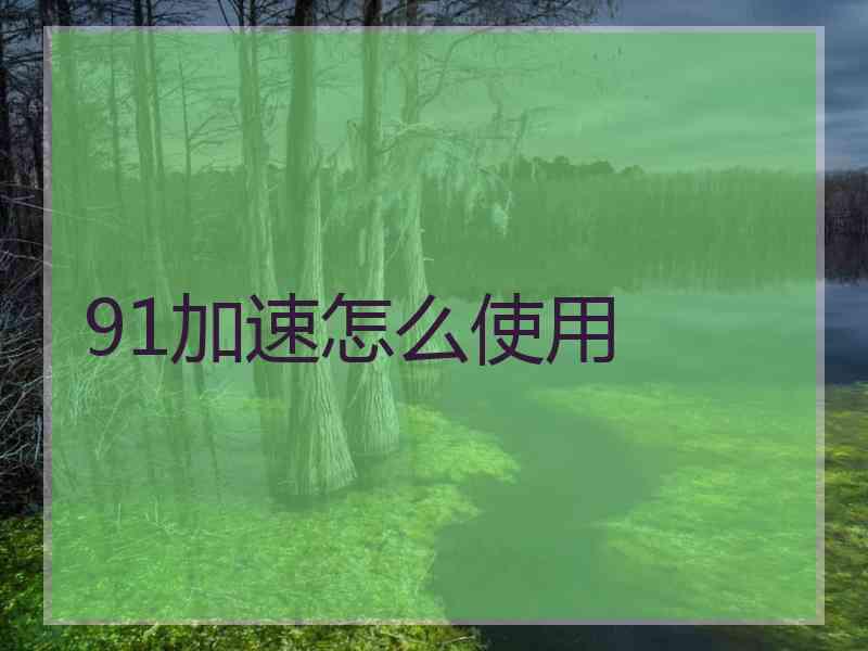91加速怎么使用