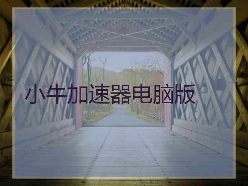 小牛加速器电脑版