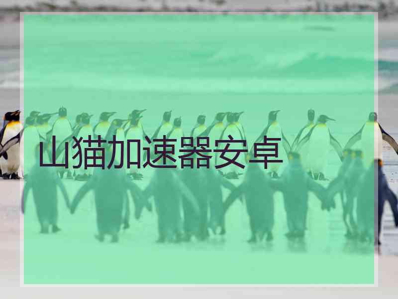 山猫加速器安卓