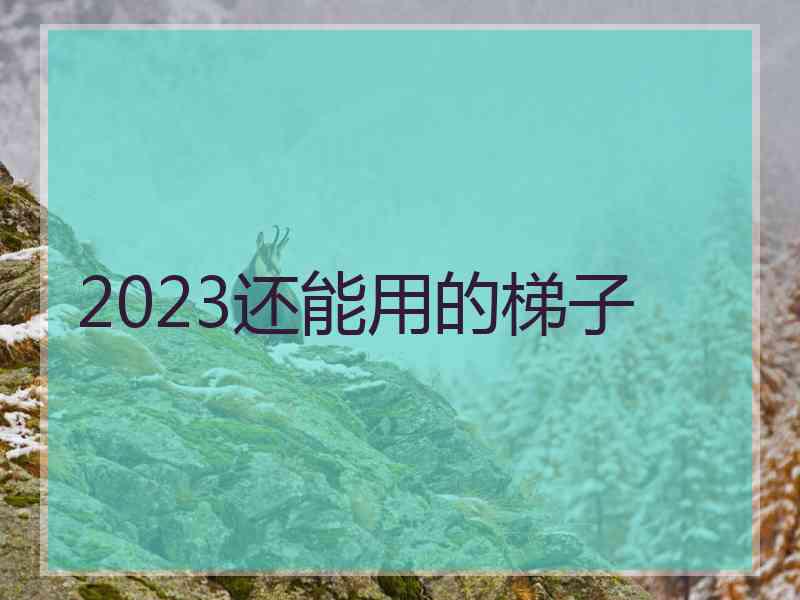 2023还能用的梯子