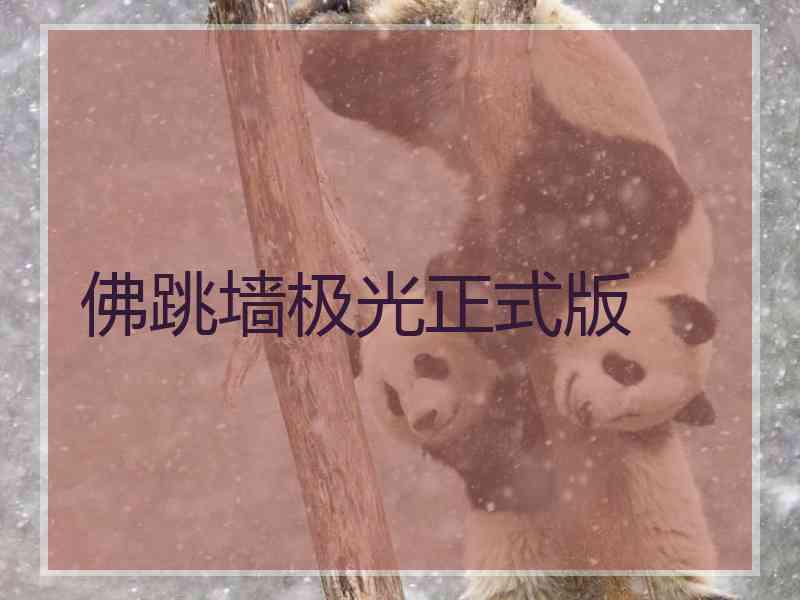 佛跳墙极光正式版
