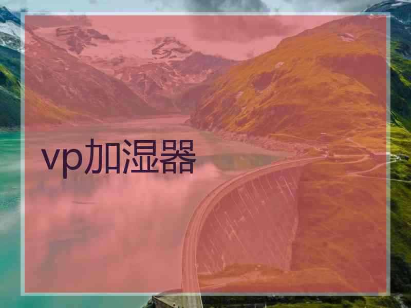 vp加湿器