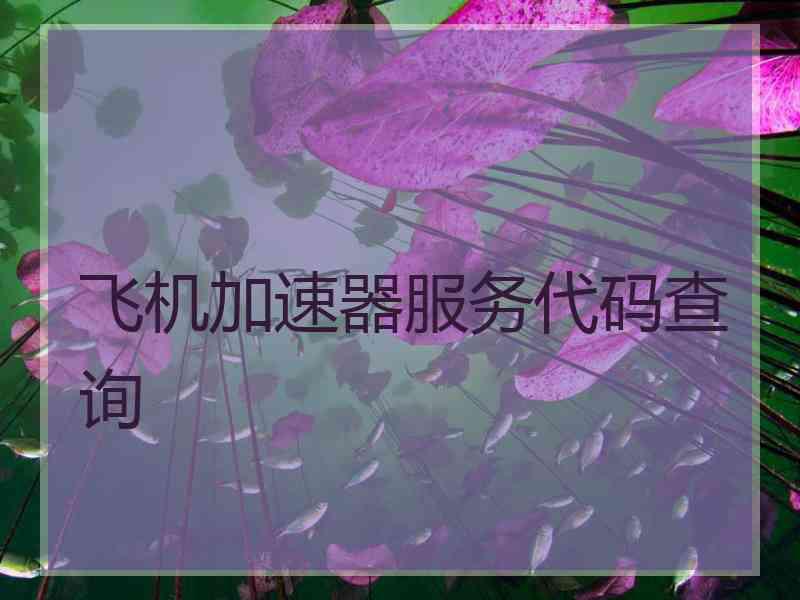 飞机加速器服务代码查询