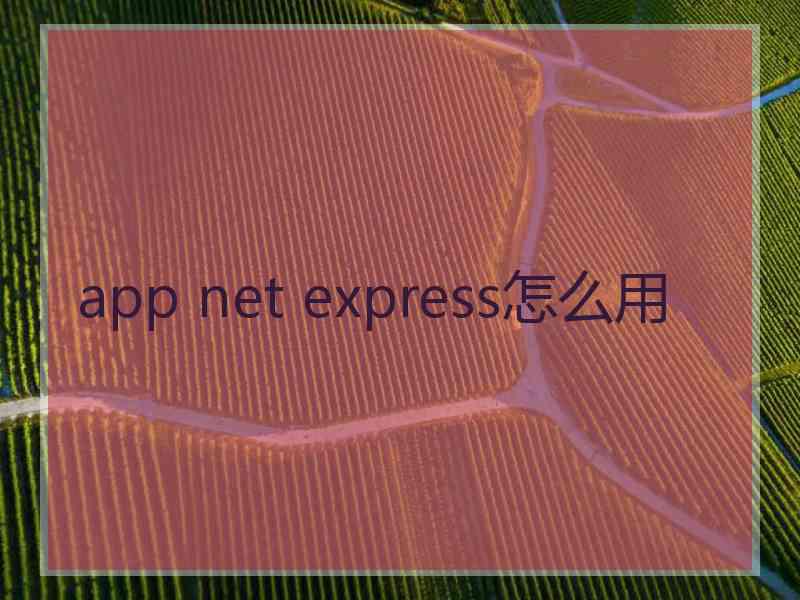 app net express怎么用