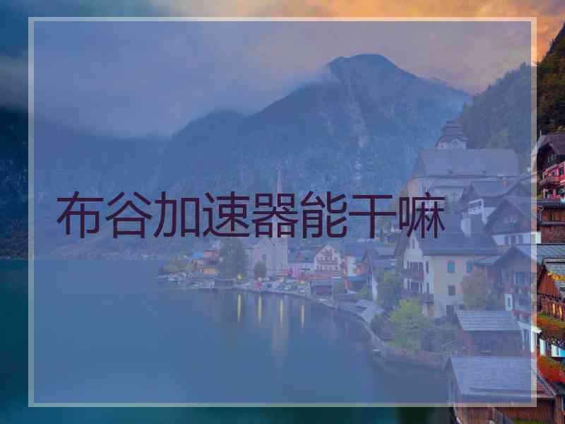 布谷加速器能干嘛