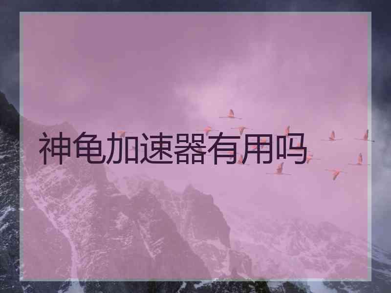 神龟加速器有用吗