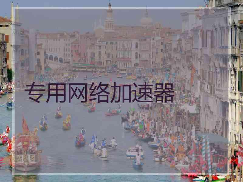 专用网络加速器