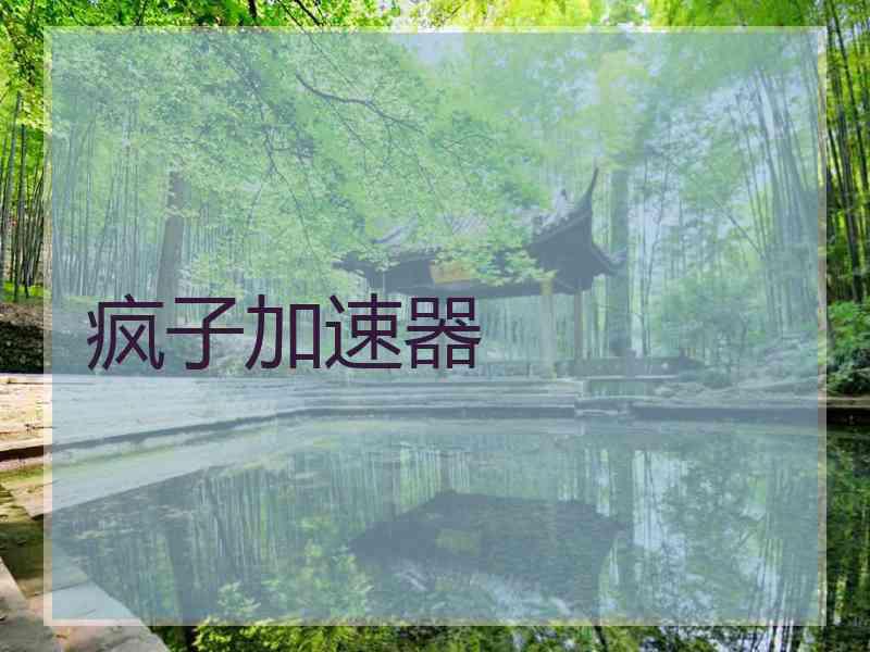 疯子加速器
