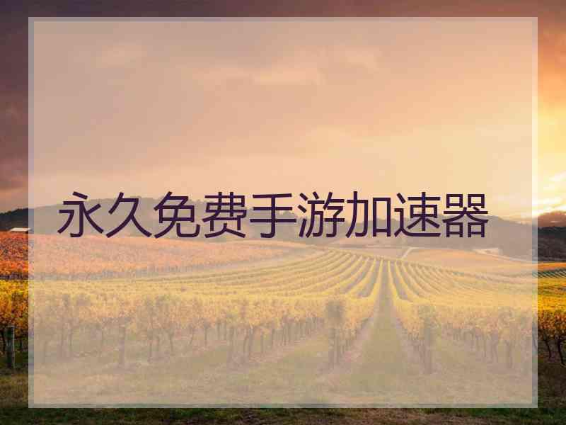 永久免费手游加速器
