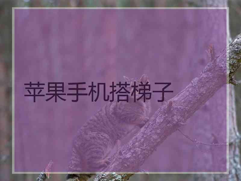 苹果手机搭梯子