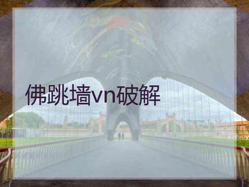 佛跳墙vn破解