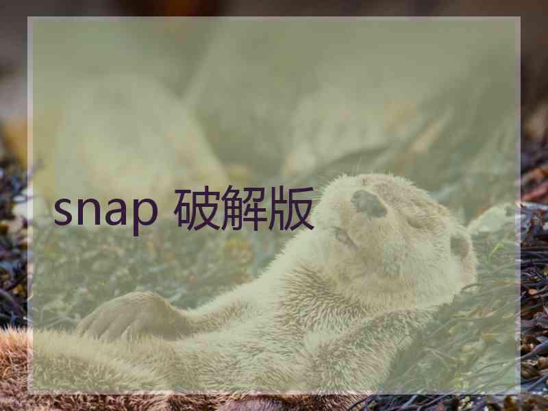 snap 破解版