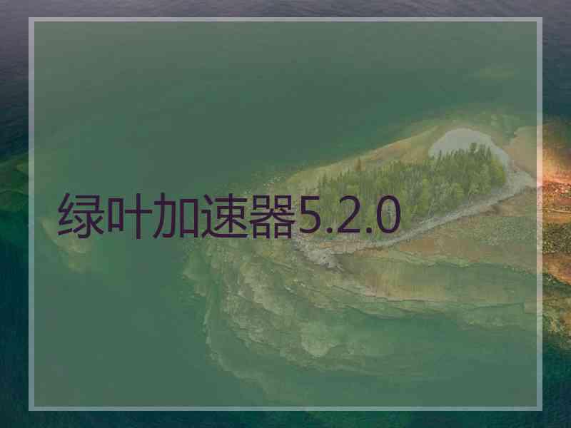 绿叶加速器5.2.0