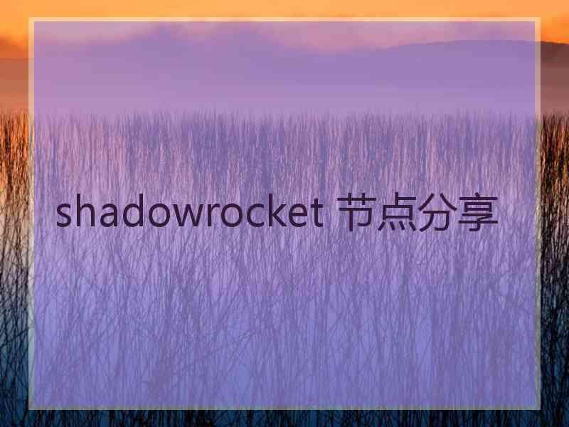 shadowrocket 节点分享