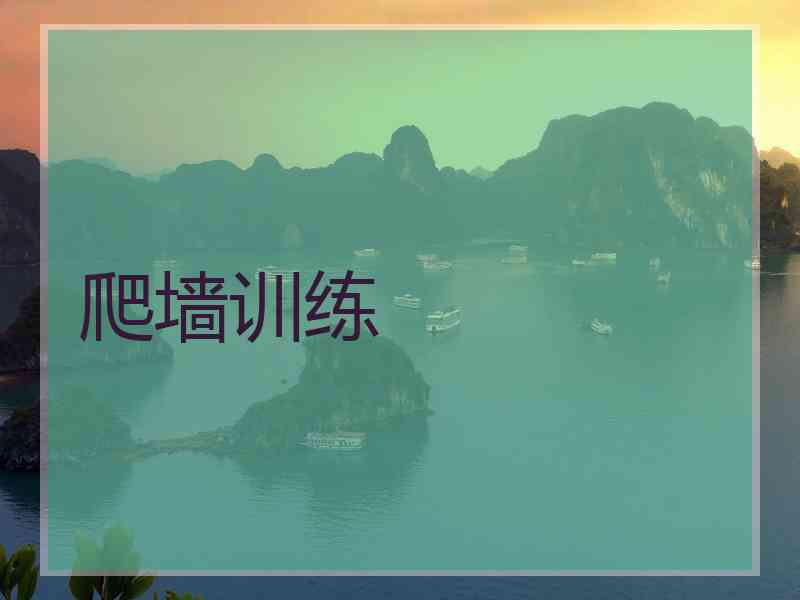 爬墙训练