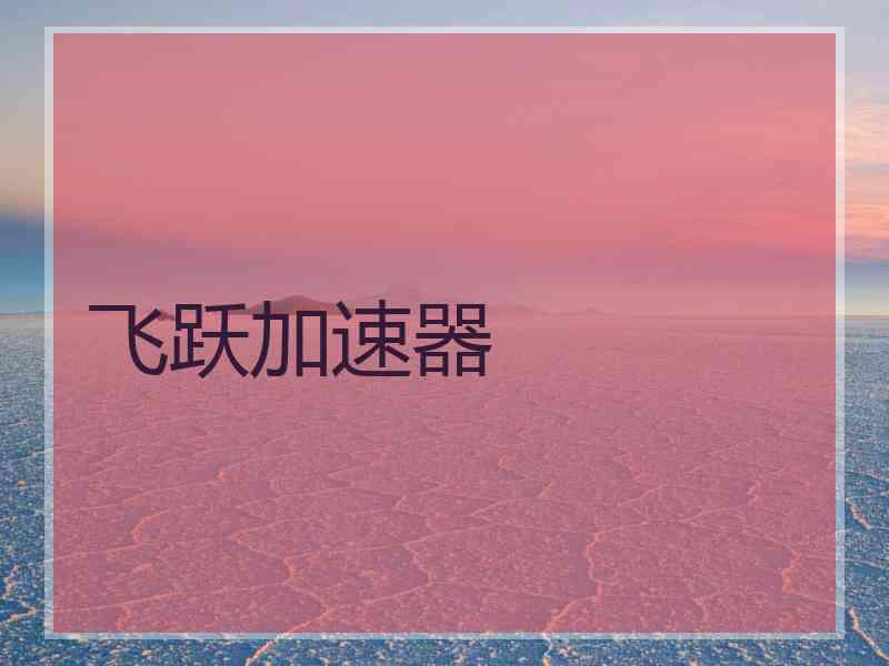 飞跃加速器