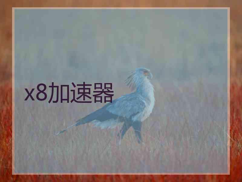x8加速器