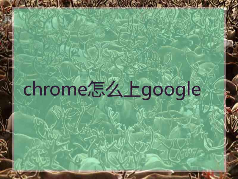 chrome怎么上google