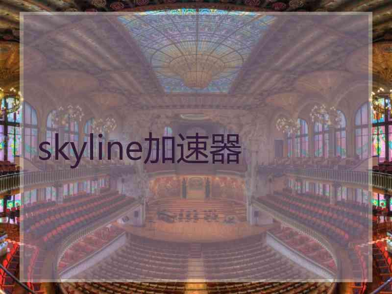 skyline加速器