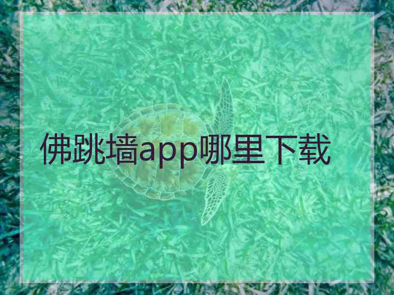 佛跳墙app哪里下载