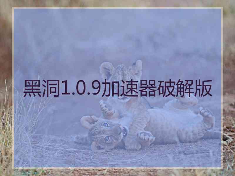 黑洞1.0.9加速器破解版