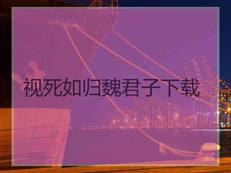 视死如归魏君子下载
