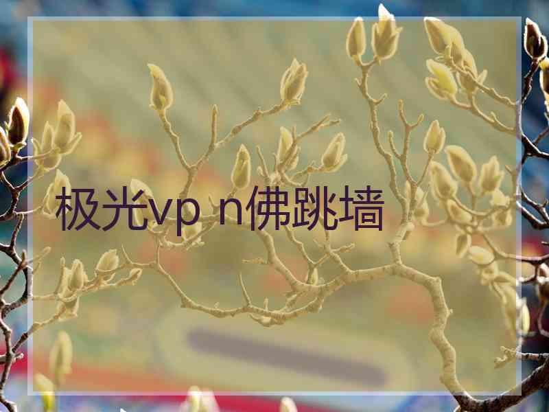 极光vp n佛跳墙