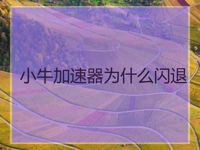 小牛加速器为什么闪退