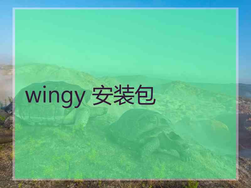 wingy 安装包