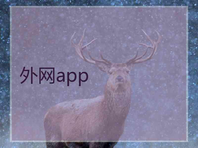 外网app