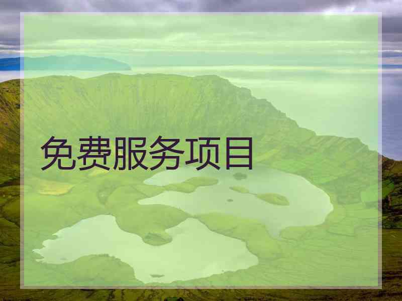 免费服务项目