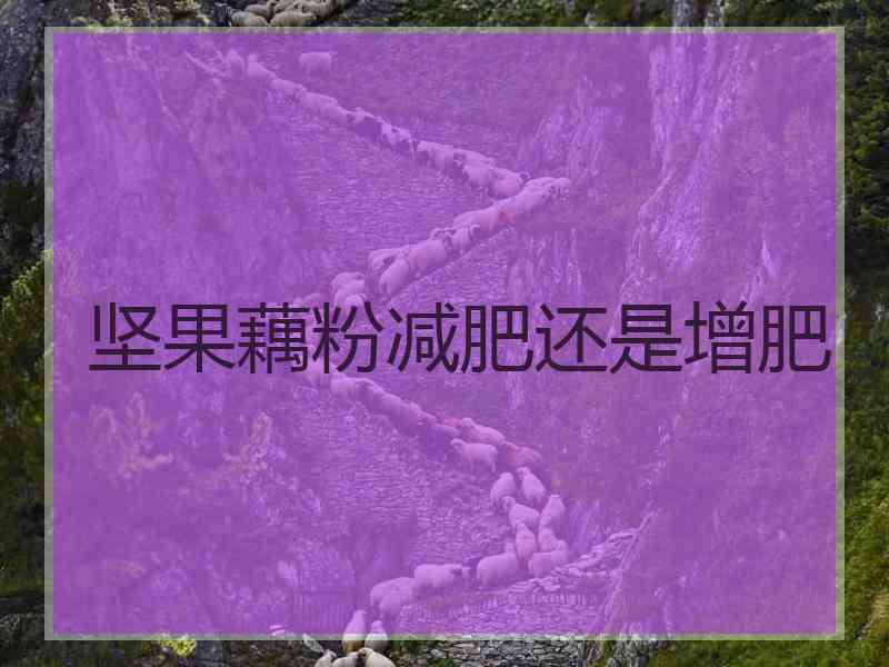 坚果藕粉减肥还是增肥