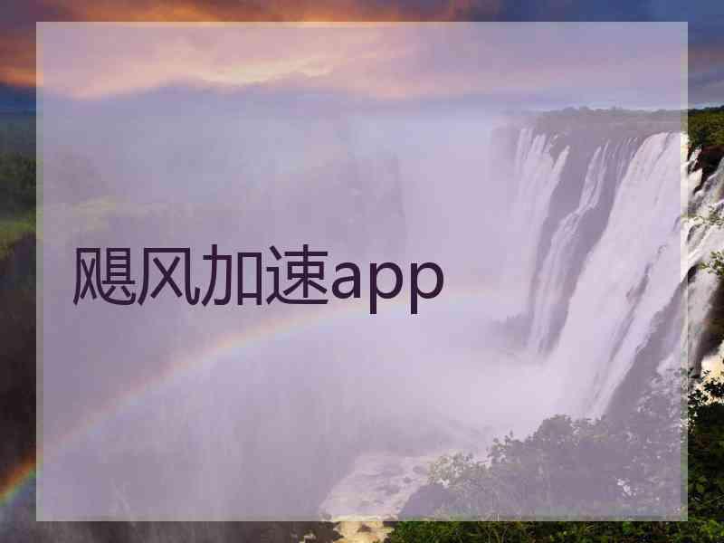 飓风加速app