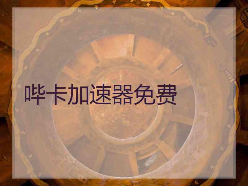 哔卡加速器免费