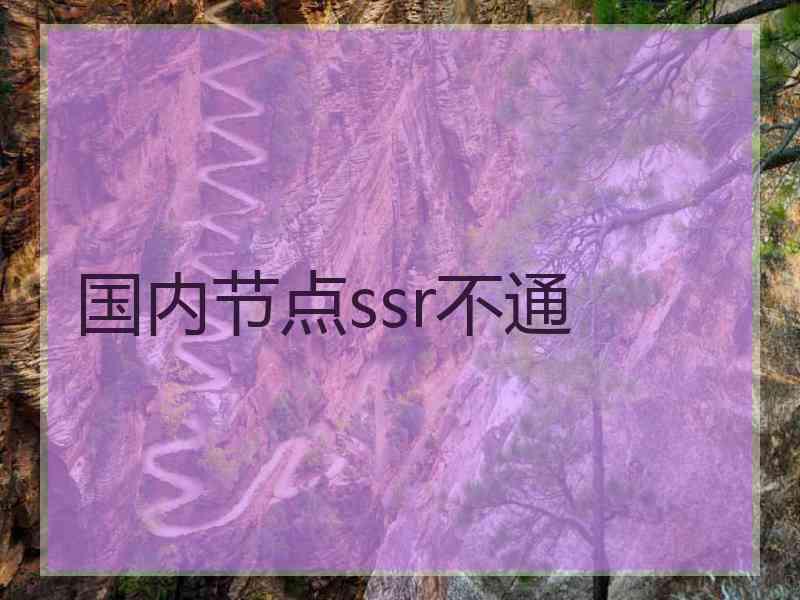 国内节点ssr不通