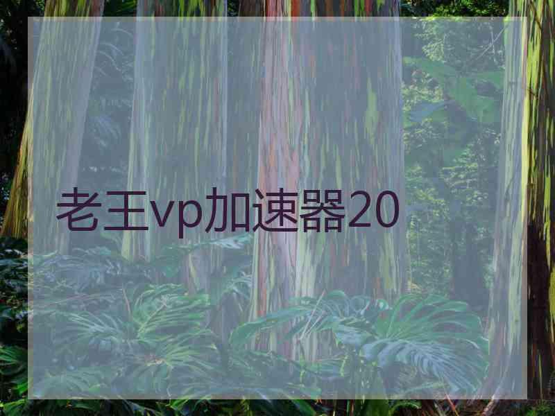 老王vp加速器20