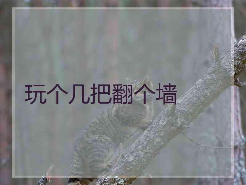 玩个几把翻个墙