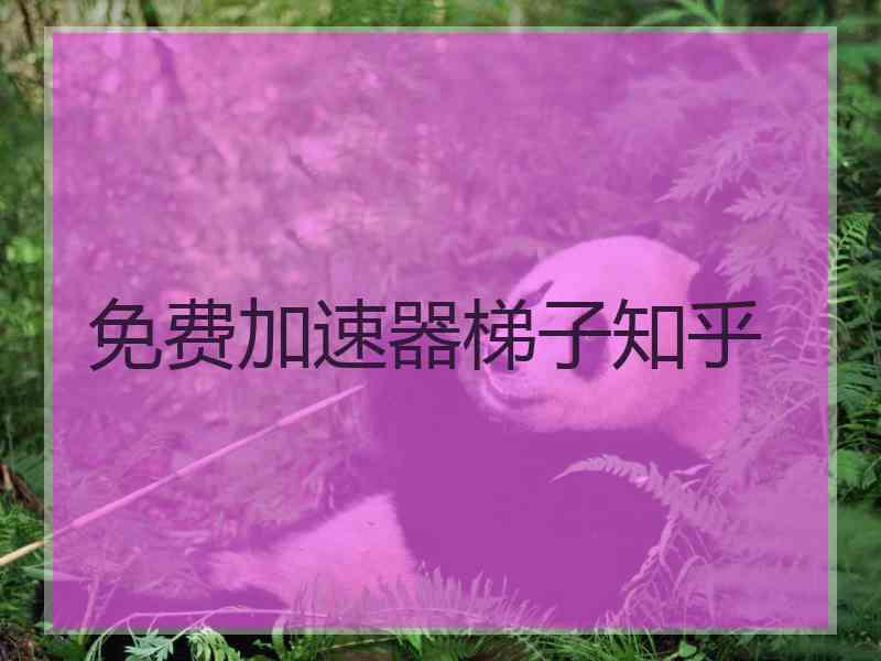 免费加速器梯子知乎