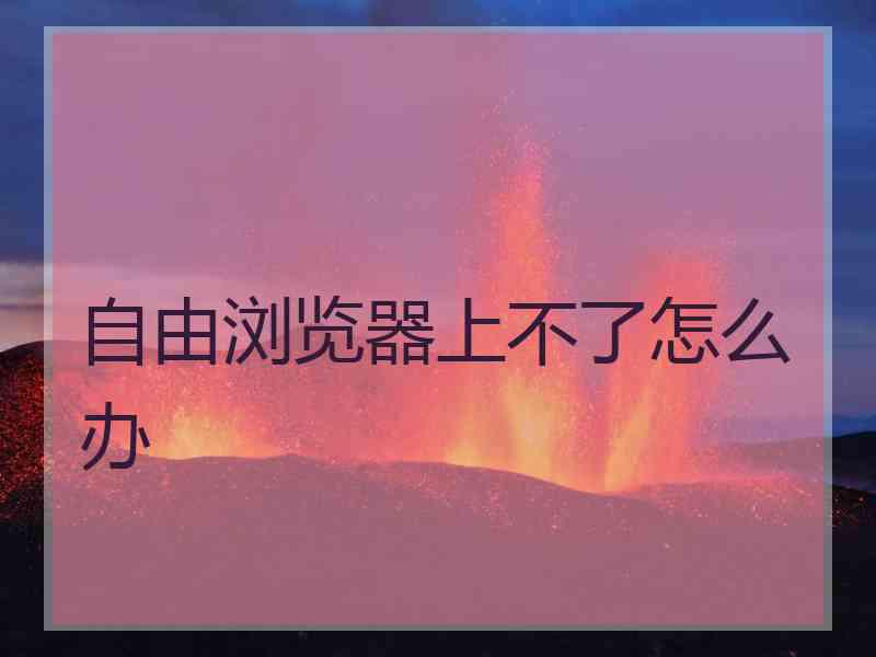自由浏览器上不了怎么办