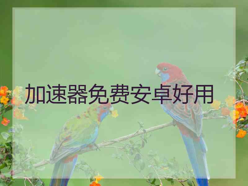 加速器免费安卓好用