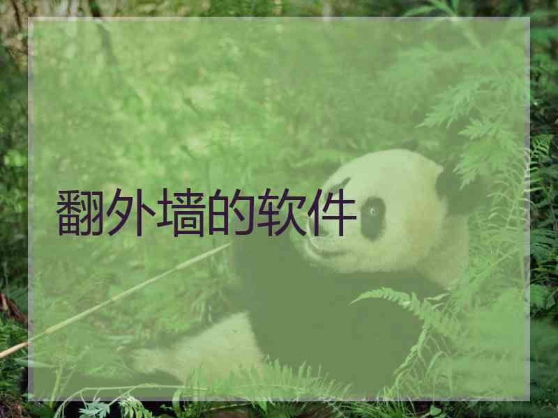 翻外墙的软件