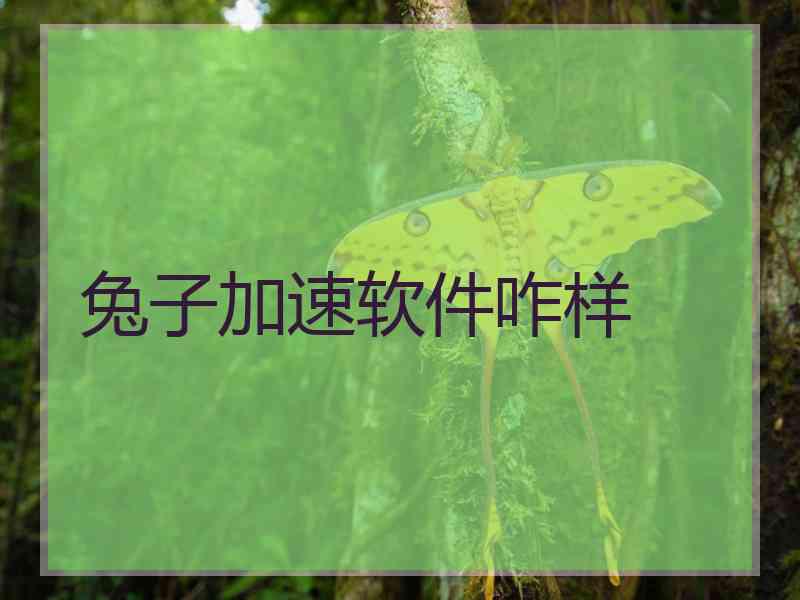 兔子加速软件咋样