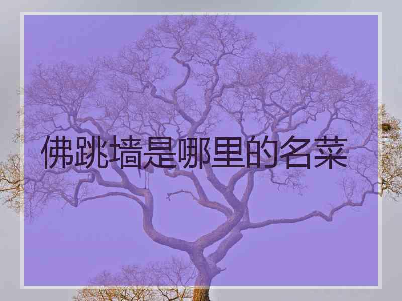 佛跳墙是哪里的名菜