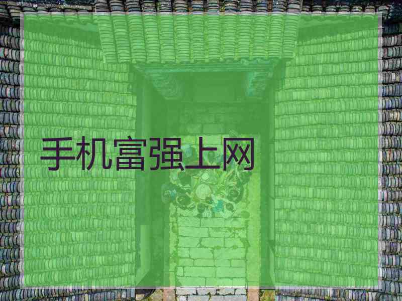 手机富强上网