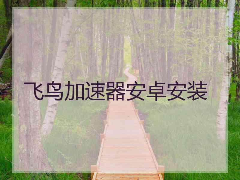 飞鸟加速器安卓安装